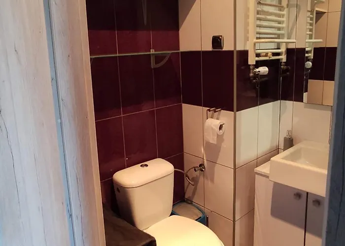 500 Metrow Od Wjazdu Na A4 דירה